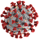 CDC/ Alissa Eckert, MS; Dan Higgins, MAM - This media comes from the Centers for Disease Control and Prevention's Public Health Image Library (PHIL), with identification number #23312.